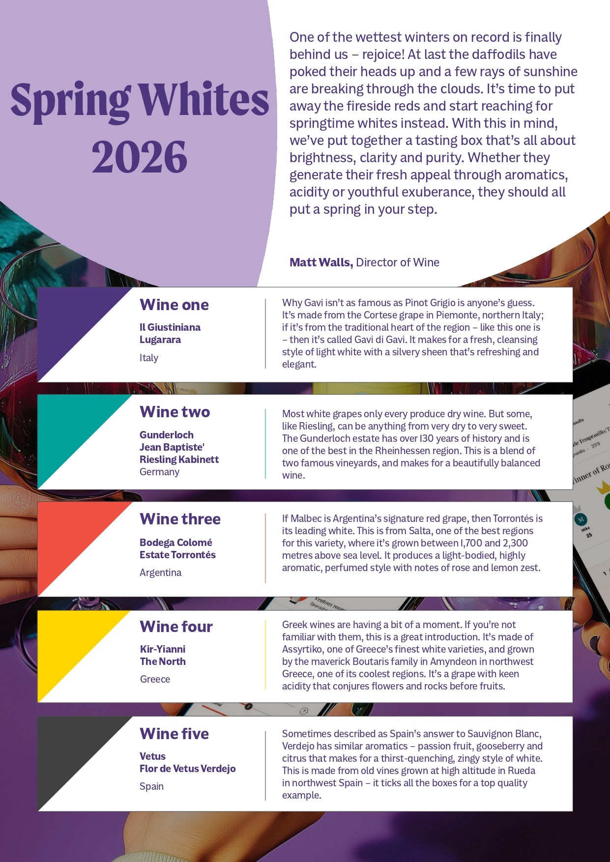 Spring Whites - 2 PLAYER SIZE